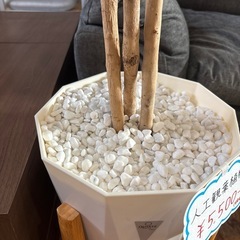おまけ付き❣️フェイクグリーン🪴人工観葉植物🌿お洒落🌟造花置物の画像