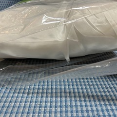 ヌードクッション   新品の画像