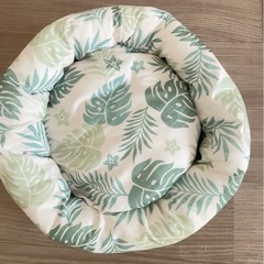 ペット用　夏用　ベッドの画像