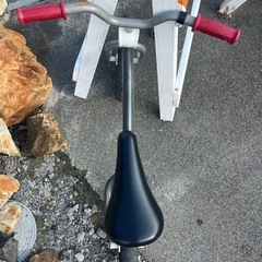 RADIO FLYER ストライダー　バランスバイクの画像