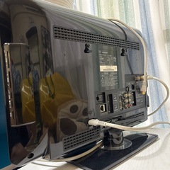 テレビ 早い者勝ちの画像