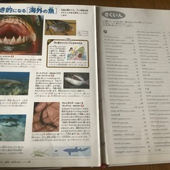 図鑑セット 小学館の図鑑NEOの画像