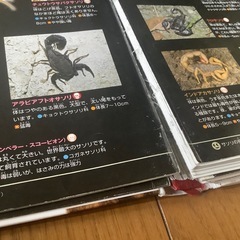 図鑑セット 小学館の図鑑NEOの画像