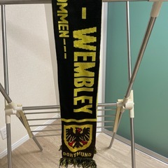 【現地購入品】ウェンブリー2024年マフラーBVBカラーの画像