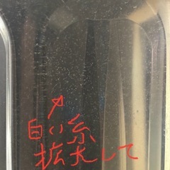 メダカの針子稚魚に‼️生き餌&培養一式セットの画像