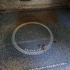 シャープ　過熱水蒸気オーブンレンジ（オーブン故障？）の画像
