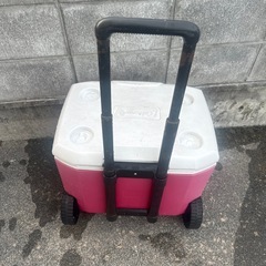 コールマン56リットル赤の画像