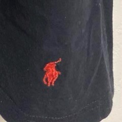 ポロ　ラルフローレン　Tシャツの画像