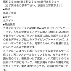カステルバジャック　バックの画像