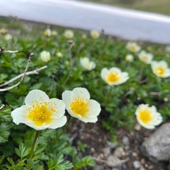 登山初めたい方