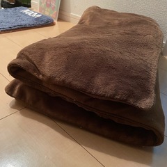 座布団　クッション　長座布団　IKEA　ニトリ　の画像