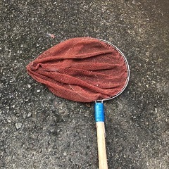 ④タモ　　大の画像