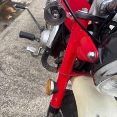 モンキー　50 早い者勝ちの画像
