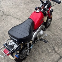 モンキー　50 早い者勝ちの画像