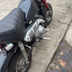 ホンダ　モンキー　z50jの画像