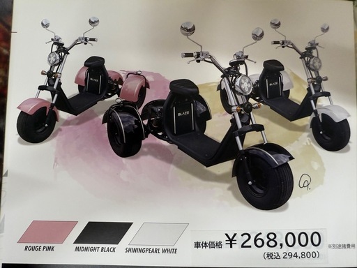 ◎【先行予約！限定2台】商品説明必読　総支払額220,000円！早い者勝ち ブレイズ EVトライク 新車未登録車 日本最安値！！