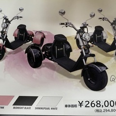 ◎【先行予約！限定2台】商品説明必読　総支払額220,000円！早い者勝ち ブレイズ EVトライク 新車未登録車 日本最安値！！の画像