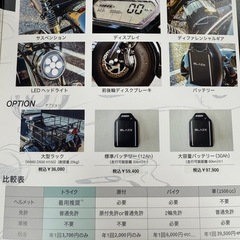 ◎【先行予約！限定2台】商品説明必読　総支払額220,000円！早い者勝ち ブレイズ EVトライク 新車未登録車 日本最安値！！の画像