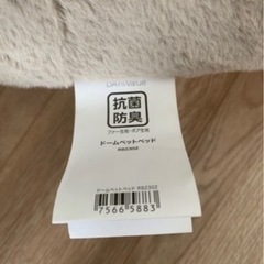 子猫のベットの画像