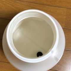フォームガン　スノーメン　ながら洗車　の画像