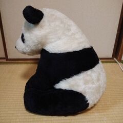 パンダさん（ぬいぐるみ）の画像