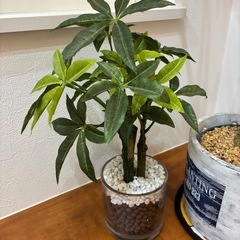   【500円でお譲りします】観葉植物フェイクグリーン 2点セットの画像