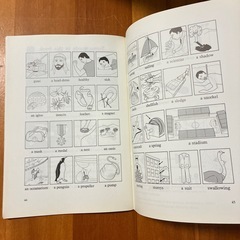 英語ビギナーへの画像