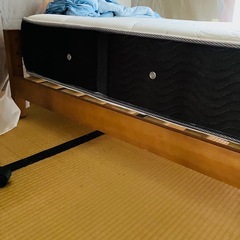 綺麗な冷蔵庫とテーブルとサイドテーブルとベッドと棚 の画像