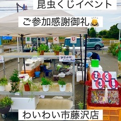 ✨昆虫くじイベント✨参加感謝御礼‼️