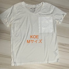 《9/16までの出品》Tシャツの画像