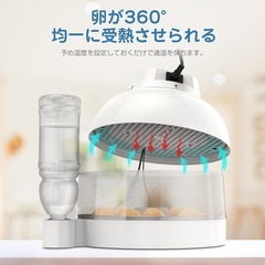 孵卵器（インキュベーター）の画像