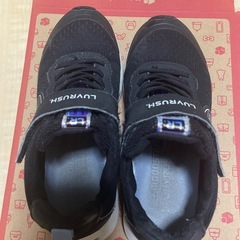 19cm　ムーンスター　の画像