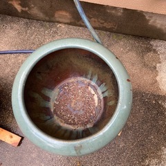 睡蓮鉢
の画像