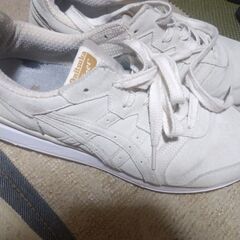 Onitsuka Tiger　アリーの画像