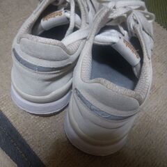 Onitsuka Tiger　アリーの画像
