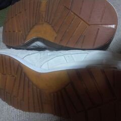 Onitsuka Tiger　アリーの画像