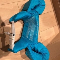 【引き取り先決まりました】INTEXプールとコールマン浮き輪の画像