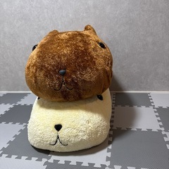 カピバラの画像