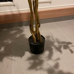 室内用インテリア　植木　お手入れ不要の画像