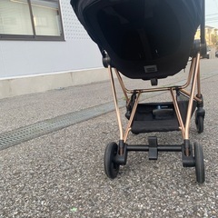 サイベックス ミオス ピンクゴールドの画像