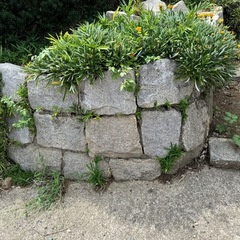 庭石、石材、景石の画像