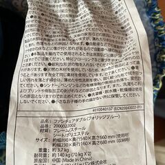 【引越一掃】コールマン　ファンチェアダブル（フォリッジブルー）の画像