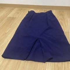 スカート　の画像