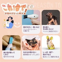 【新品】【激安】ペットドライルーム ペットドライヤー ペットハウス ドライヤーの画像