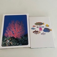 水の生き物　図鑑2冊セットの画像