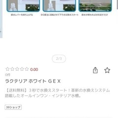 美品 ラクテリア ホワイトの画像