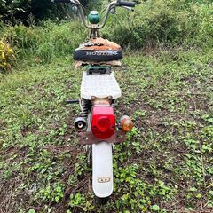 HONDA  ホンダ ノビオ PM50 50cc 書類有 鍵有 モペット 原付バイク 現地引取【山梨県】の画像