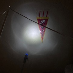 光るビニール傘の画像