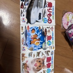 サムネイル