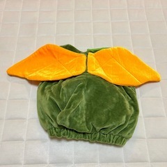 ドラゴン着ぐるみ  ハロウィン 辰年の画像